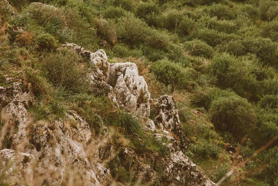救援人员发声苍山走失男童救援细节救援人员揭秘，苍山走失男童救援细节全程